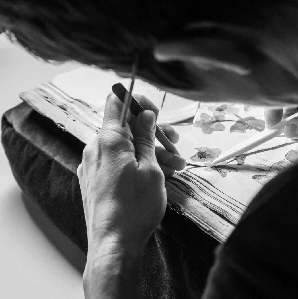 Arbeit an einem Herbar Blick ins Atelier